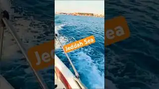 Jeddah Sea View | Saudi Arabia | Speed Boat #trending #shortsvideo #jeddah #saudia ​⁠