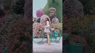 Dubai Miracle garden 