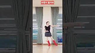 [초중급] 비비라인댄스💋