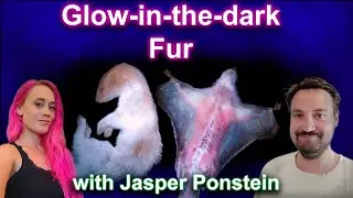Animals that glow in the dark!