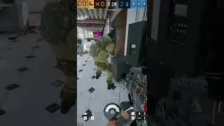 БЕЗУМНЫЕ РАДУЖНЫЕ БАГИ -  Rainbow Six Siege #shorts