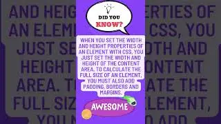 CSS BOX Model