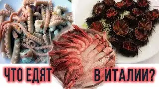 Отдых с детьми в Италии на море. Итальянская национальная кухня. Обзор книг для детей
