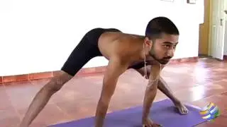 Yoga Standing Postures