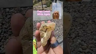 Huge Lemon White Agate #shorts #agate #rockhounding