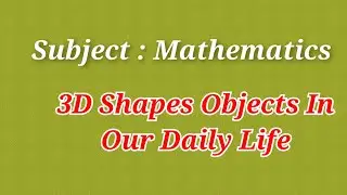 3D Objects In Our Daily Life