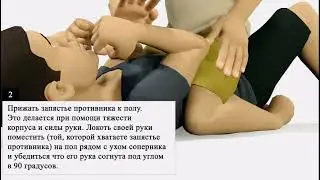 Атака из маунта | как сделать болевой на руку?