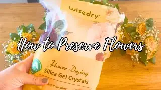 How to Dry Flower Using WiseDry Silica Crystals