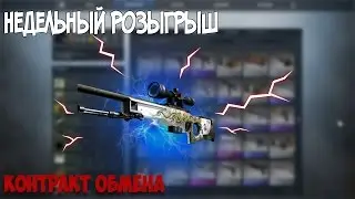 Еврейские контракты|Недельный розыгрыш|week Giveaway