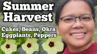 Summer Harvest of Cucumbers, Beans, Okra, Eggplant, and a Quick Garden Tour