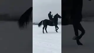 13 января 2021 г.