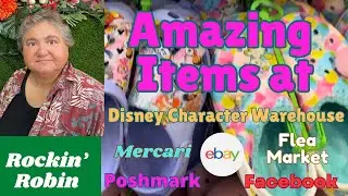 Amazing Star Wars Items at Disney Character Warehouse Fort Lauderdale, FL Sawgrass Mills Mall
