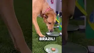 Get the recipes for your furry friend: bit.ly/pb-dog-treats 🥜🐾 #WWC2023 #fifaworldcup