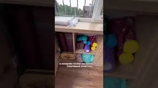 Спортзал и место для отдыха на лоджии