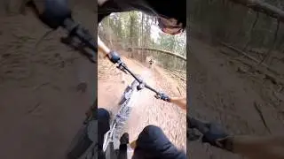 Love riding Dusty MTB Trails 🤩🤩 #mtb #bike #ridemtb #freeridemtb #downhillmtb #scottbikes