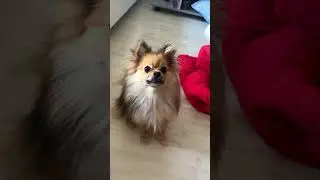 Не снимай меня, я не в настроении 😅 