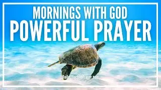 Begin The Day With God | Morning Prayers & Ambient Music To Encourage & Empower You Soaking Prayer