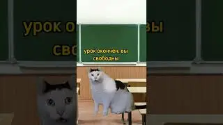 Ученик подрался с учителем😱 #mem #memes #кот #футаж #мем