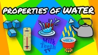 Properties of Water and All About water