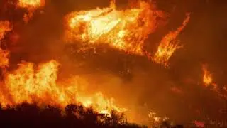 MALAI - Hug you while the world burns