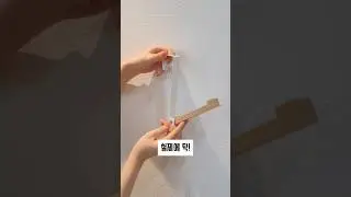 다이소 신상이 나왔네요~~