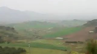 Sheep bells