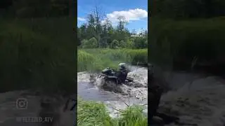 Здесь собирают Стэлс, это Брянская область е… твою мать 🔥🔥🔥