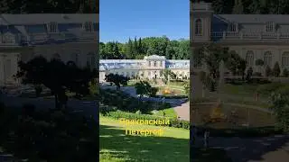 Ом мантра в Петергофе #russia #петергоф #ом #мантра #индия #индусвроссии #youtubeshorts #travel #yt