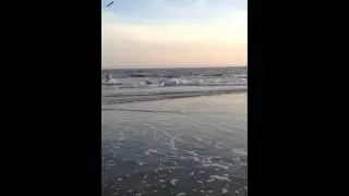 IMG 0213