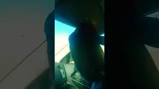 такой пыли я не встречал Ала Арча