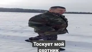 Мчим по полям на пасеку. 