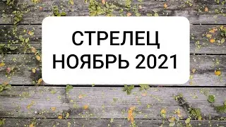 СТРЕЛЕЦ. НОЯБРЬ 2021г.