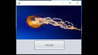 How To Display Image In Jlabel Java Using Netbeans GUI App