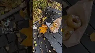 эстетика осени