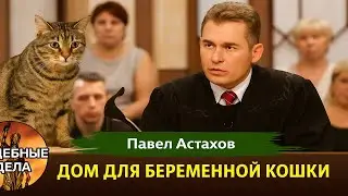 The drama has reached the courtroom! Court Cases with Pavel Astakhov / How to avoid mistakes?