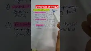 Derivatives of foregut 