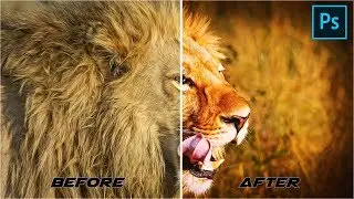 How To Make Your Photos Look Cinematic | Photoshop CC Tutorial