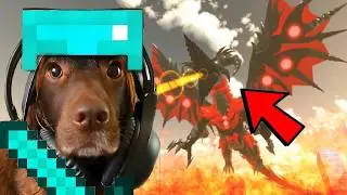 Playing DRAGON Bathroom Attack...