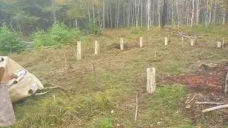 Низкобюджетный купольный летний домик. Часть 1 // 23.09.2018