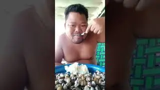 បាយជាមួយលាសហាល