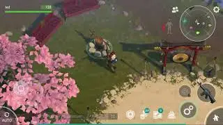 nouvel an chinois + SS3 à la grenade + raid