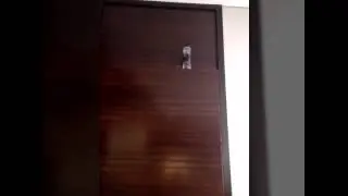 Water Bottle Flipz- Oh my god edition