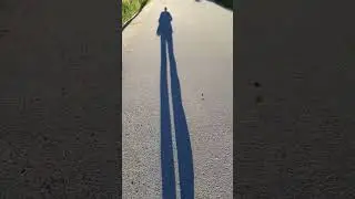 Shadow