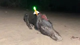 HOG HEADSHOT AT 10 YARDS!!
