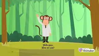 Let's get to know lions!