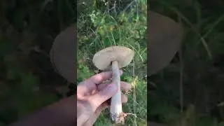 31 августа 2024 г.