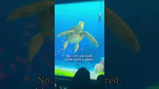 BLOWING MY MIND | Turtle talk with crush 😃