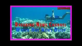Rare Mutation Among Bajau People Lets Them Stay Underwater Longer