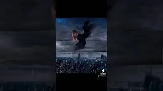 MIS MEJORES FOTOS 📸 