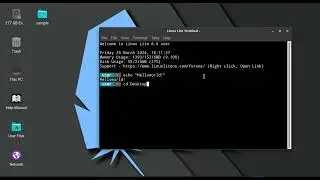 save text from terminal using echo and cat command in Linux terminal.